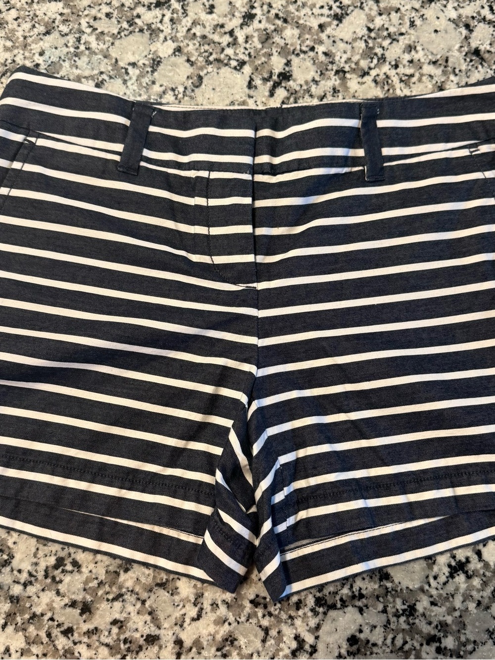 Ann Taylor Navy & White Striped Shorts